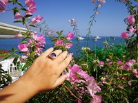 Northern Lights - Mood Ring - 15 mm - Gold Plated Sterling Silver 925 - AAA Crystal Quartz