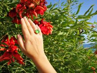 Sun of Antares - Mood Ring - 14 mm - Gold Plated Sterling Silver 925 - AAA Crystal Quartz