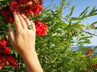 Sun of Antares - Mood Ring - 14 mm - Sterling Silver 925 - AAA Crystal Quartz
