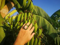 Queen of Zanzibar - Mood Ring - Adjustable - 25x18 mm - Brass