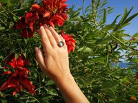 Sun of Antares - Mood Ring - 14 mm - Gold Plated Sterling Silver 925 - AAA Crystal Quartz