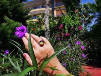 Sun of Antares - Mood Ring - 14 mm - Sterling Silver 925 - AAA Crystal Quartz