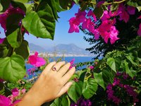 Duchess of the Silver Light - Mood Ring - 8 mm - Sterling Silver 925 - AAA Crystal Quartz
