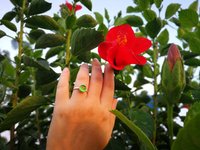 Lady of the Silver Light - Mood Ring - 8 mm - Sterling Silver 925