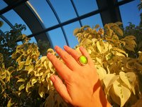 Queen of Heavenly Delight - Mood Ring - 20x15 mm - Sterling Silver 925 (pure or gold plated) - AAA Crystal Quartz