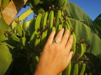 Princess of Blossoms - Mood Ring - 6 mm - Sterling Silver 925