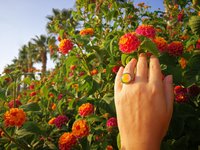 Golden Dream - Mood Ring - 16 mm - 24K Gold Plated Sterling Silver 925