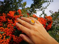 King of Gentlemen - Mood Ring - 18x13 mm - Stainless Steel