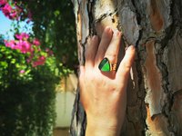 Sovereign of Lightning - Mood Ring - 20 mm - Gold Plated Sterling Silver 925 - AAA Crystal Quartz