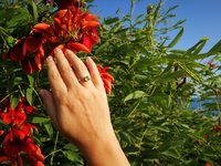 The Little Lord - Mood Ring - 6 mm - Sterling Silver 925 - AAA Crystal Quartz