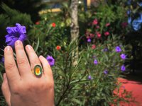 Crystal Star of Atlantis - Mood Ring - 18x13 mm - Gold Plated Sterling Silver 925 - AAA Crystal Quartz