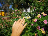 Star of Success - Mood Ring - 10 mm - Sterling Silver 925