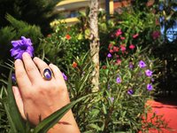 Crystal Star of Atlantis - Mood Ring - 18x13 mm - Gold Plated Sterling Silver 925 - AAA Crystal Quartz