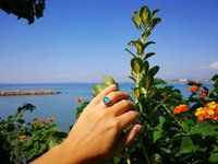 Princess of the Silver Light - Mood Ring - Adjustable or Non-Adjustable - 10 mm - Sterling Silver 925