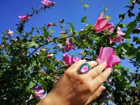 Silver Fountain of Youth - Mood Ring - 25x18 mm - Sterling Silver 925
