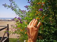 Golden Dream - Mood Ring - 16 mm - 24K Gold Plated Sterling Silver 925