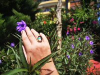 Crystal Star of Atlantis - Mood Ring - 18x13 mm - Gold Plated Sterling Silver 925 - AAA Crystal Quartz