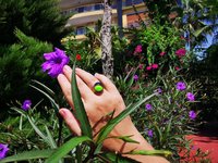 Sun of Antares - Mood Ring - 14 mm - Gold Plated Sterling Silver 925 - AAA Crystal Quartz