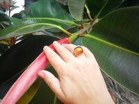 Northern Lights - Mood Ring - 15 mm - Gold Plated Sterling Silver 925 - AAA Crystal Quartz