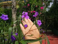 Northern Lights - Mood Ring - 15 mm - Gold Plated Sterling Silver 925 - AAA Crystal Quartz