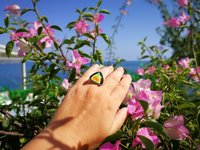 Sovereign of Lightning - Mood Ring - 20 mm - Sterling Silver 925 - AAA Crystal Quartz