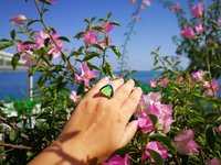 Sovereign of Lightning - Mood Ring - 20 mm - Sterling Silver 925 - AAA Crystal Quartz