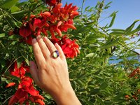 Crystal Star of Atlantis - Mood Ring - 18x13 mm - Gold Plated Sterling Silver 925 - AAA Crystal Quartz