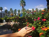 Northern Lights - Mood Ring - 15 mm - Gold Plated Sterling Silver 925 - AAA Crystal Quartz