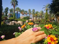 Holiday Ocean - Mood Ring - Crystal Quartz - 24x18 mm - Sterling Silver 925