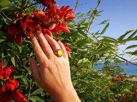 Golden Messenger of Glory - Mood Ring - 20x15 mm - Sterling Silver 925 - 24k Gold Plated - AAA Crystal Quartz faceted