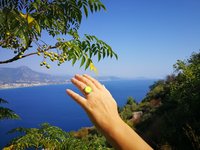 Golden Dream - Mood Ring - 16 mm - 24K Gold Plated Sterling Silver 925