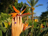 Princess of the Silver Light - Mood Ring - Adjustable or Non-Adjustable - 10 mm - Sterling Silver 925