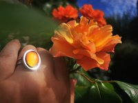 Royal Mood - Mood Ring - Adjustable - 18x13 mm - Stainless Steel