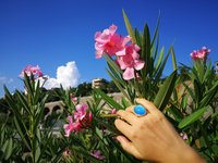 Silver Fountain of Youth - Mood Ring - 25x18 mm - Sterling Silver 925