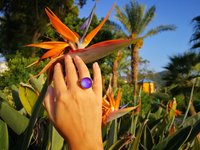 Princess of Dreams - Mood Ring - 17 mm - Sterling Silver 925