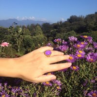 Golden Blossoms of Magic - Mood Ring - 18x13 mm - 24K Gold Plated Sterling Silver 925