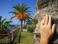 Princess of the Silver Light - Mood Ring - Adjustable or Non-Adjustable - 10 mm - Sterling Silver 925