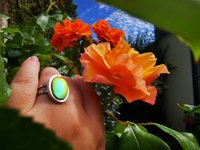 Royal Mood - Mood Ring - Adjustable - 18x13 mm - Stainless Steel