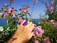 Silver Mirror of Beauty - Mood Ring - 30x20 mm - Sterling Silver 925