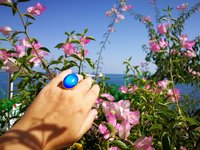 Golden Mirror of Beauty - Mood Ring - 30x20 mm - 24k gold plated Sterling Silver 925