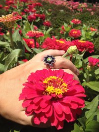 Princess of Rock - Mood Ring - 5 mm - Stainless Steel