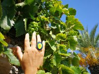 Queen of Zanzibar - Mood Ring - Adjustable - 25x18 mm - Brass