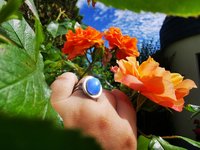 Royal Mood - Mood Ring - Adjustable - 18x13 mm - Stainless Steel