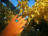 World of Crystal Stars - Mood Ring - 15 mm - Sterling Silver 925 (pure or gold plated) - AAA Crystal Quartz