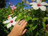 Sun of Antares - Mood Ring - 14 mm - Gold Plated Sterling Silver 925 - AAA Crystal Quartz