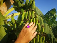 Princess of Dreams - Mood Ring - 17 mm - Sterling Silver 925