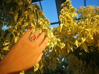 King of Gentlemen - Mood Ring - 18x13 mm - Stainless Steel - faceted AAA Crystal Quartz