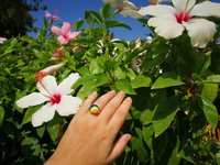 Sun of Antares - Mood Ring - 14 mm - Gold Plated Sterling Silver 925 - AAA Crystal Quartz