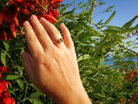 The Little Lord - Mood Ring - 6 mm - 24k Gold Plated Sterling Silver 925 - AAA Crystal Quartz
