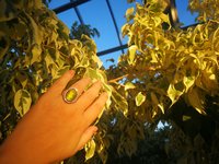 King of Gentlemen - Mood Ring - 18x13 mm - Stainless Steel - faceted AAA Crystal Quartz